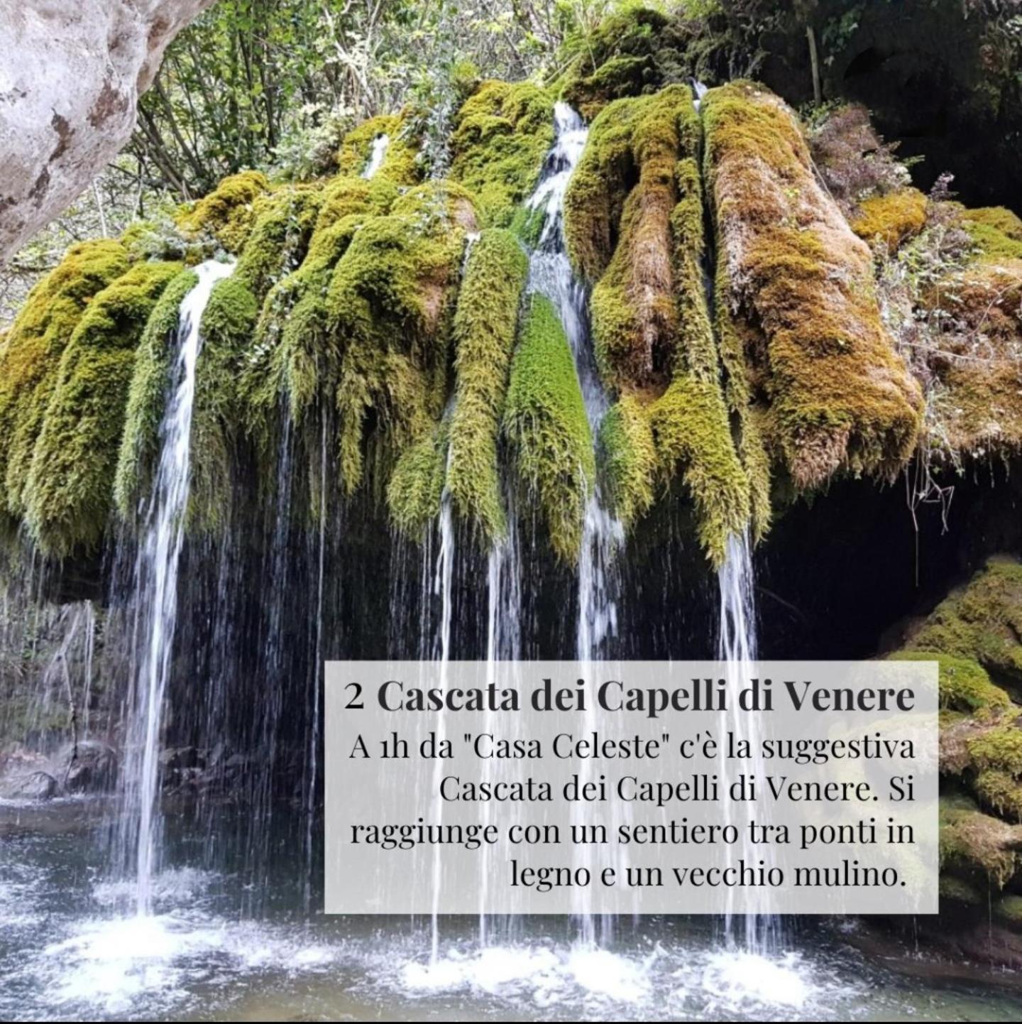 Nennella Cilento House Daire Cuccaro Vetere Dış mekan fotoğraf