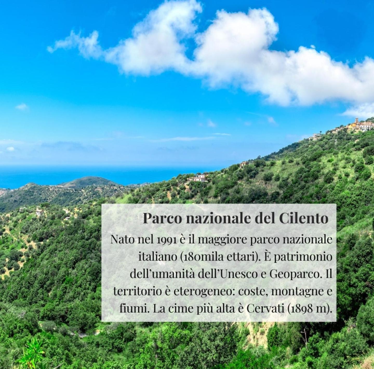 Nennella Cilento House Daire Cuccaro Vetere Dış mekan fotoğraf